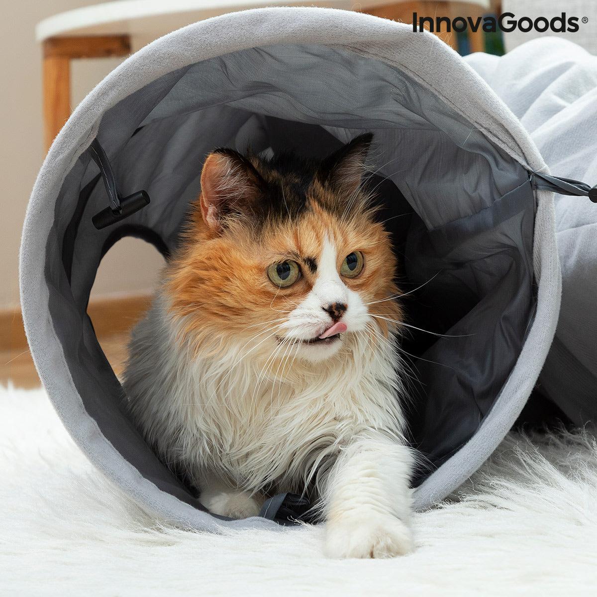 Túnel Dobrável para Gatos