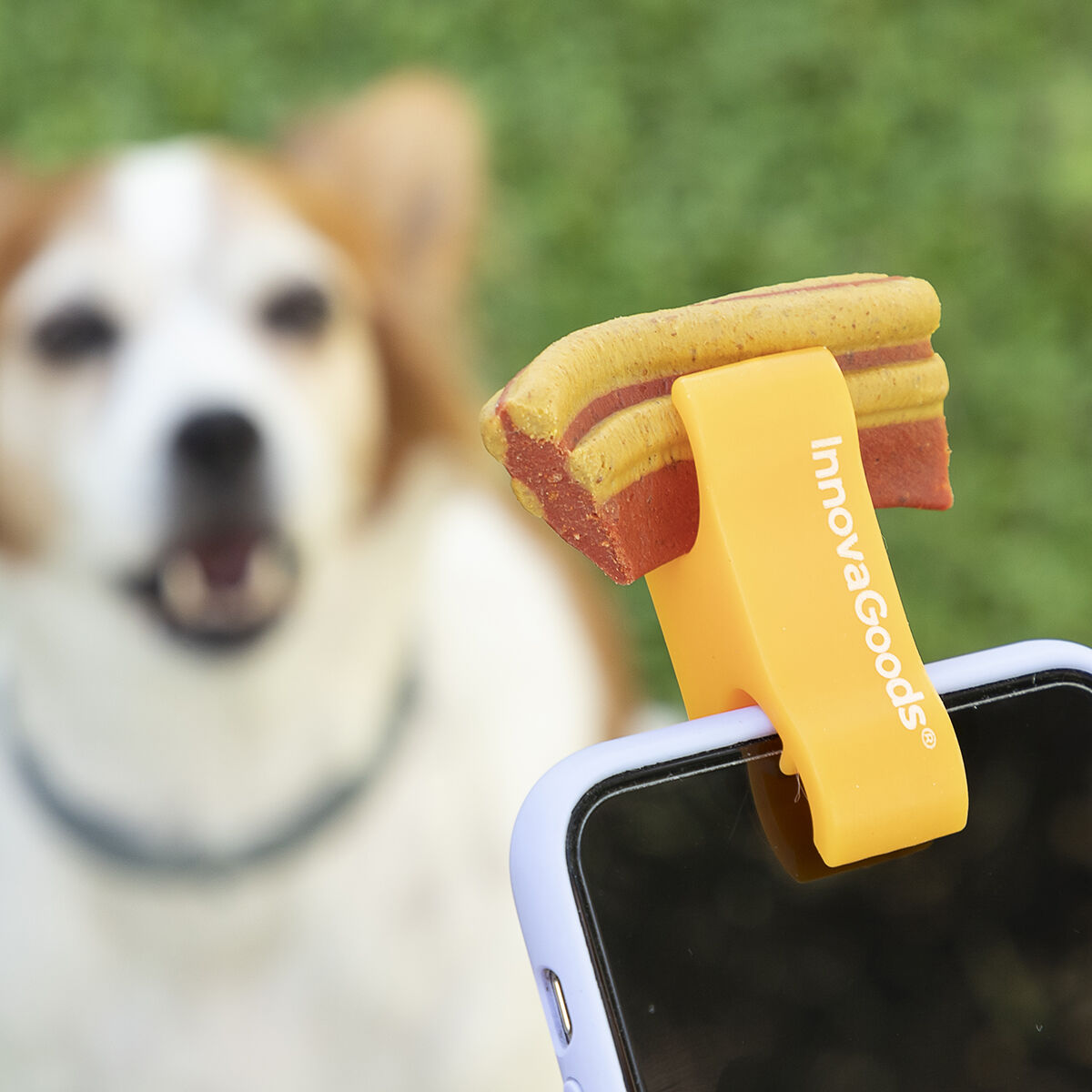 Clip Selfie para Cães e Gatos