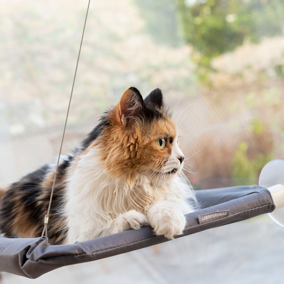 Rede Suspensa de Janela para Gatos