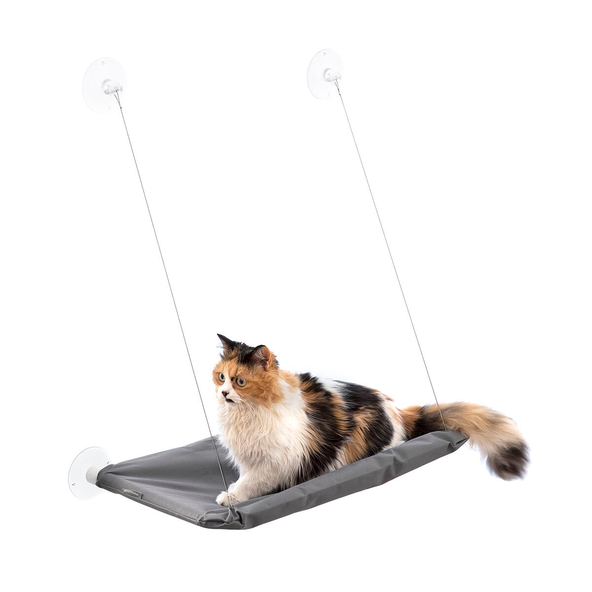 Rede Suspensa de Janela para Gatos