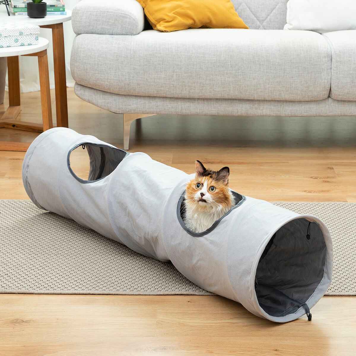 Túnel Dobrável para Gatos