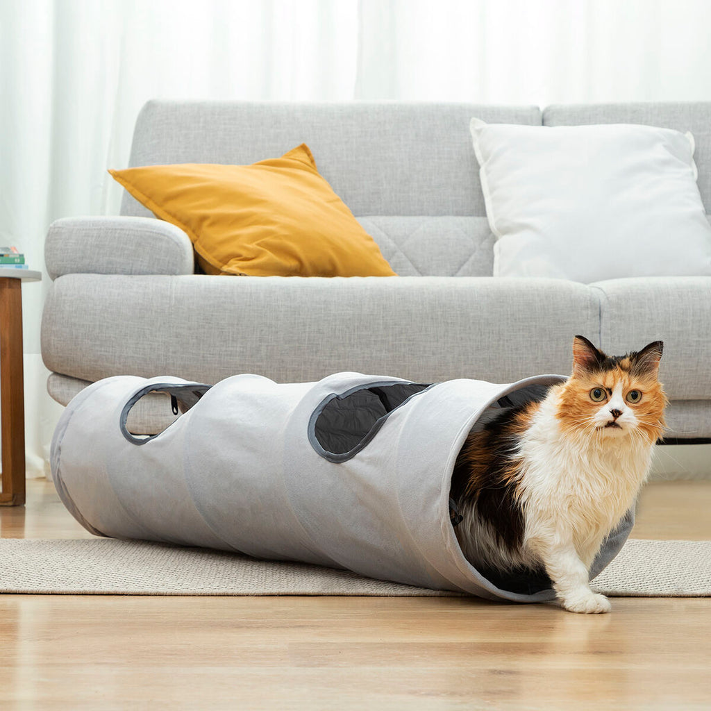 Túnel Dobrável para Gatos