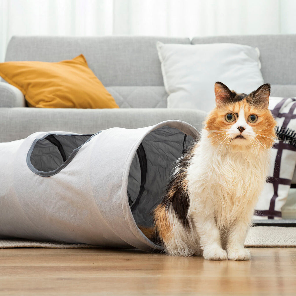 Túnel Dobrável para Gatos