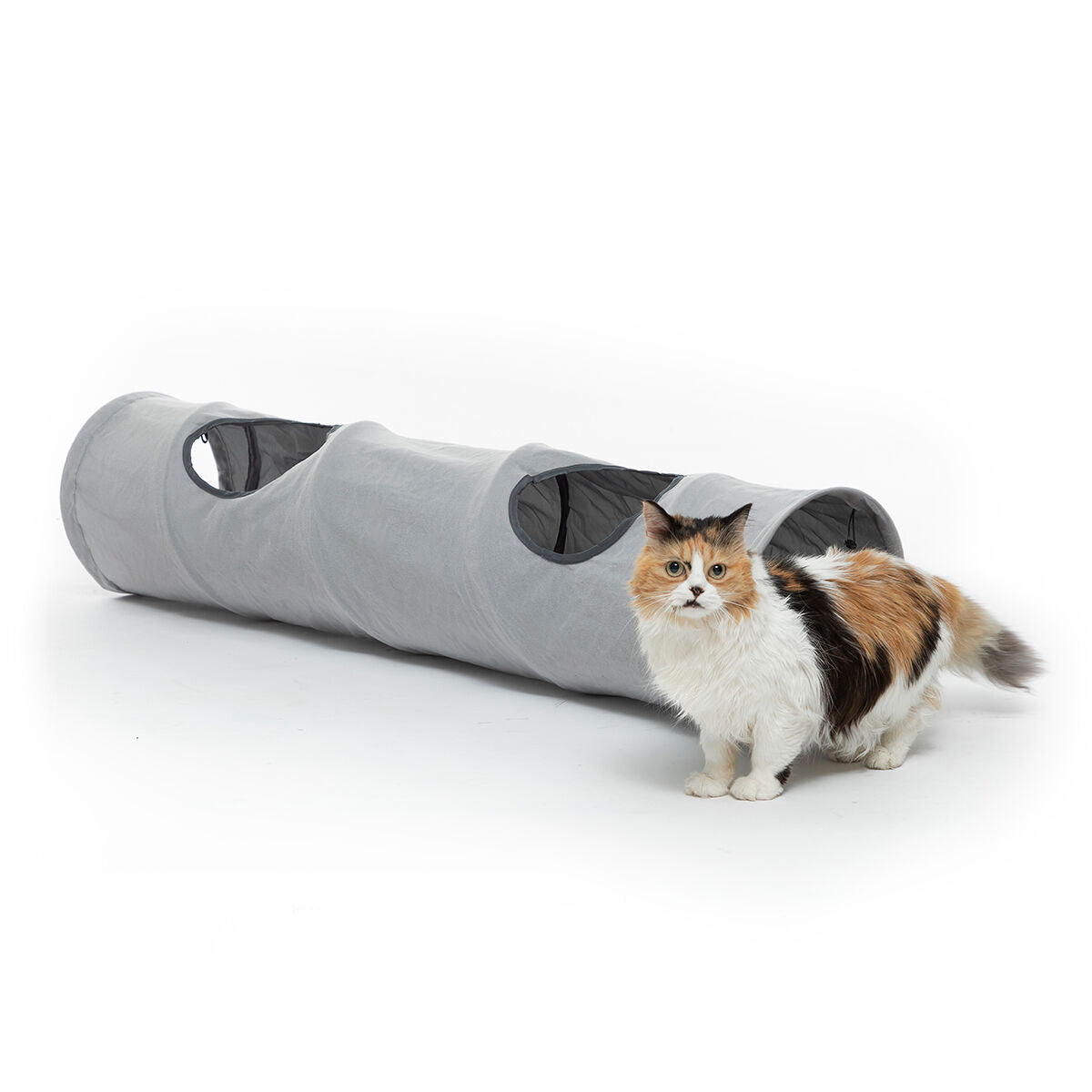 Túnel Dobrável para Gatos