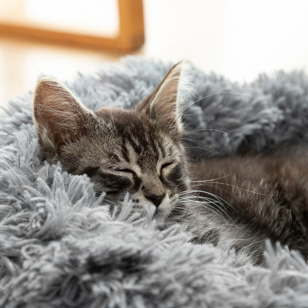 Cama Anti-Stress para Cães e Gatos — 60 cm