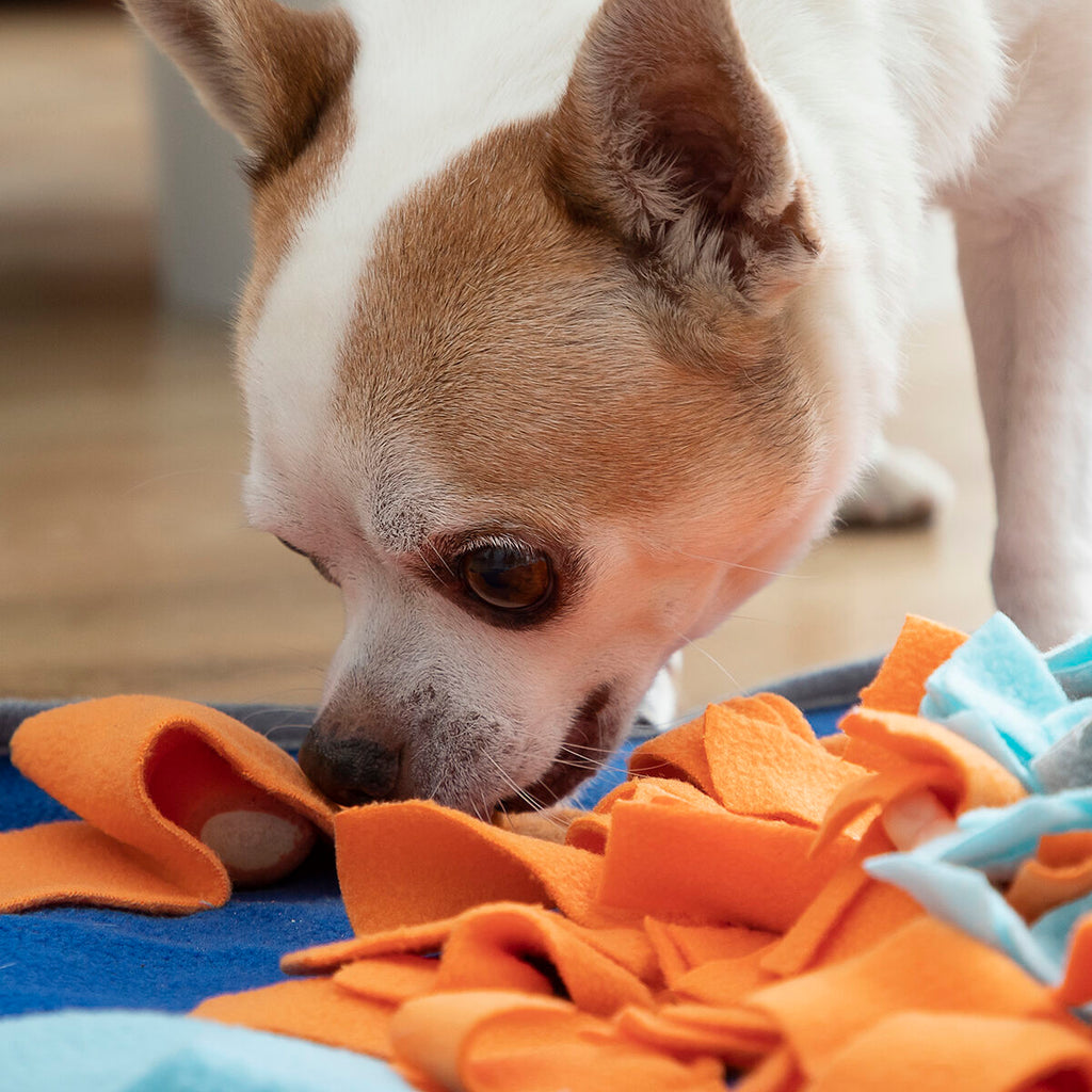 Tapete de Farejar para Cães