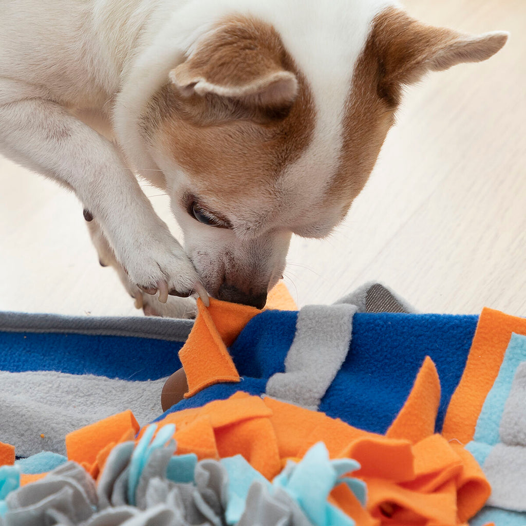 Tapete de Farejar para Cães